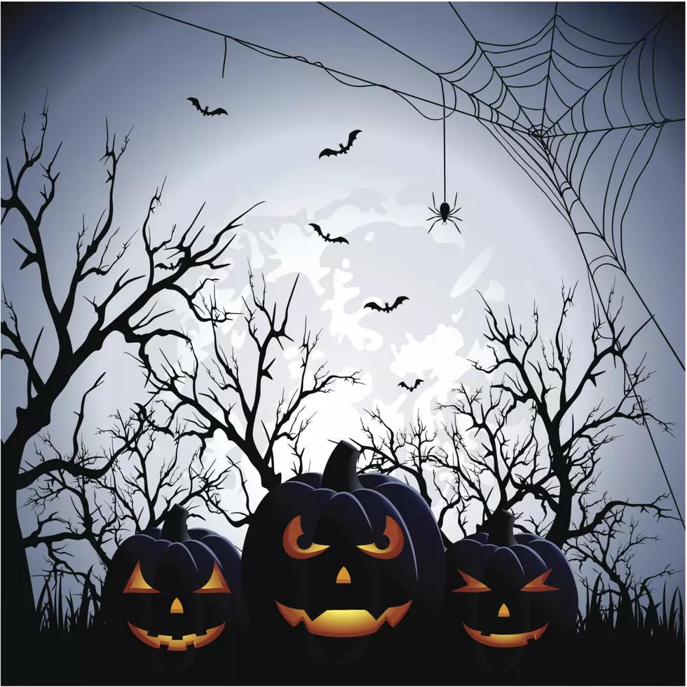 11th Annual Haunted Hayride in Waverly