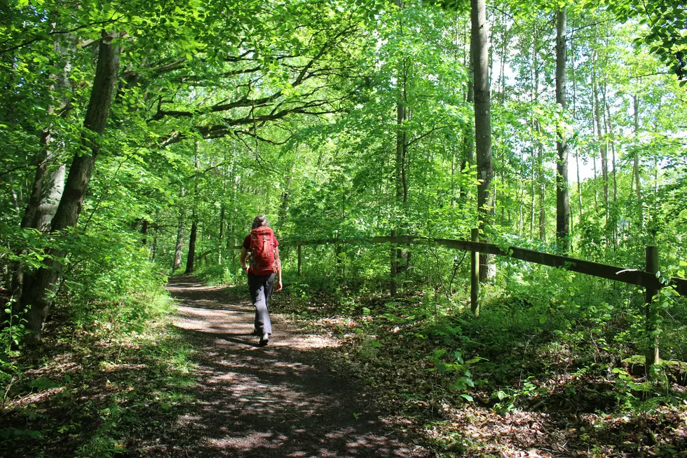 Beware This Dangerous Plant Taking Over Missouri Trails