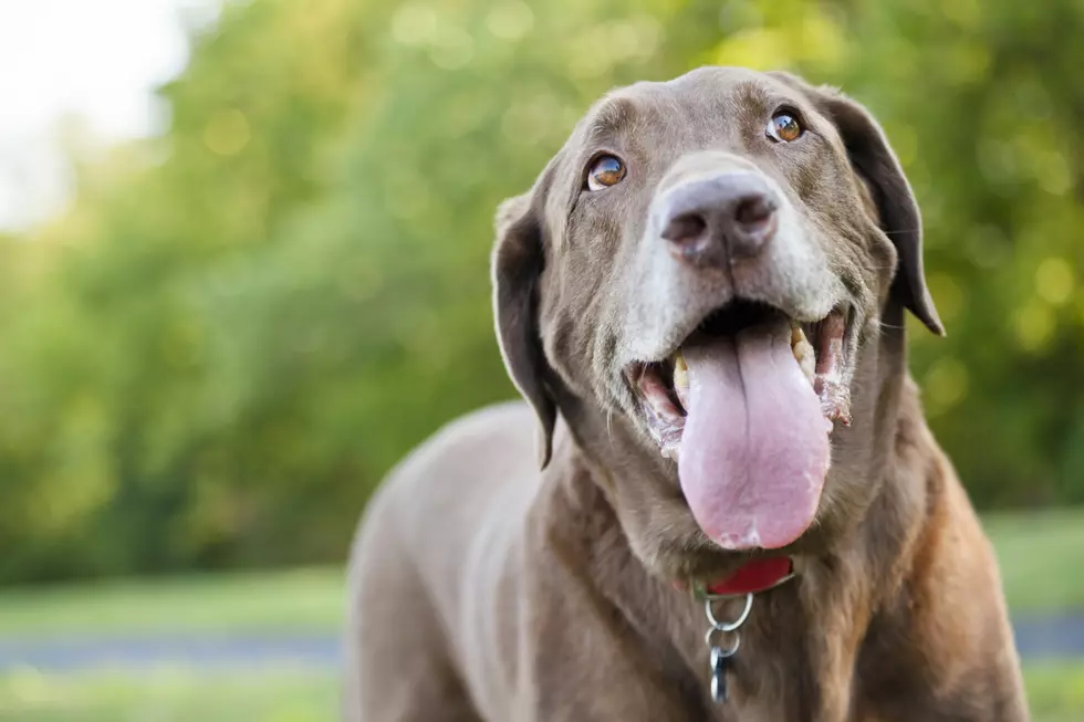 Tongue Out Tuesday: Apparently That’s a Thing Now